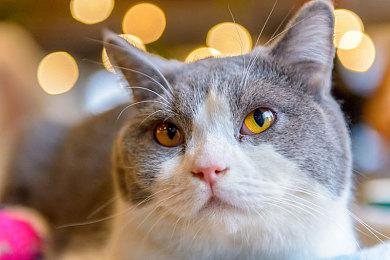 TGA 2023：《最终幻想7：重生》新预告 明年2月发售